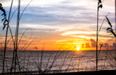 venice-beach-real-estate